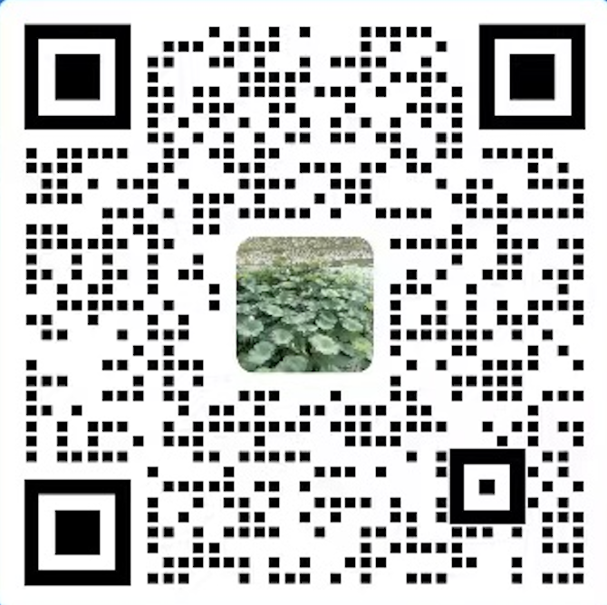 北京绿点电子商务有限公司